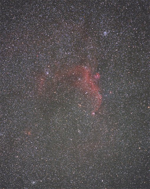 Seagull Nebula