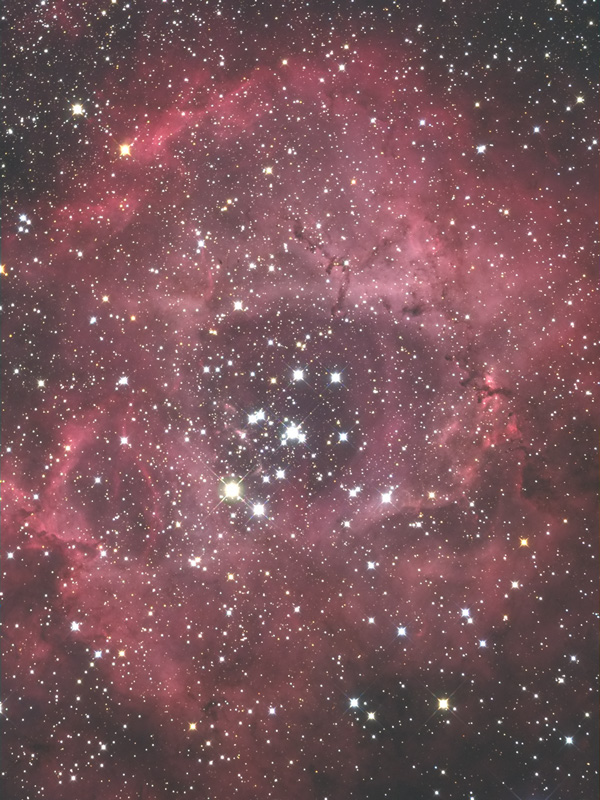 Rossette Nebula