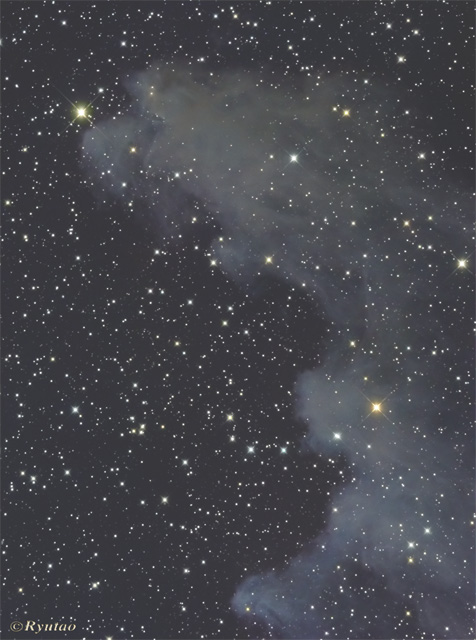 The Witch head Nebula
