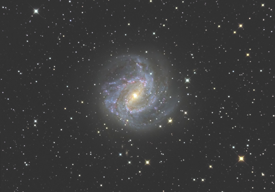 M83 Galaxy