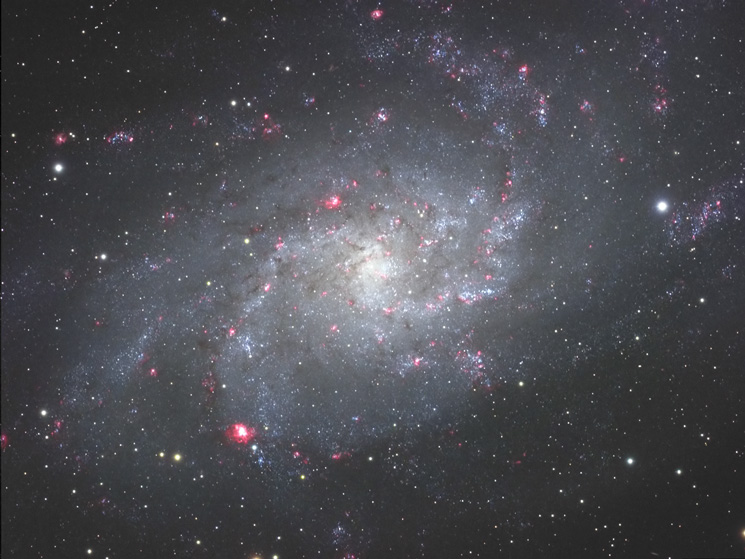 M33