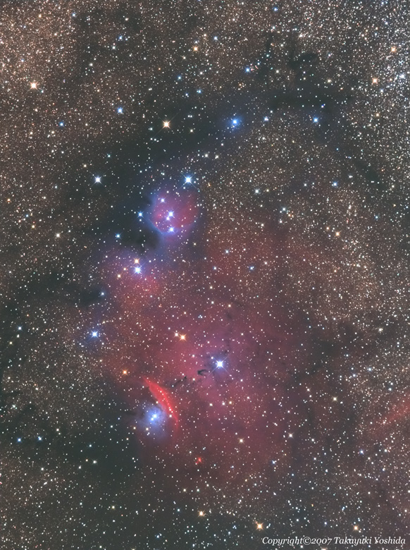 NGC6559