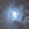 Iris Nebula
