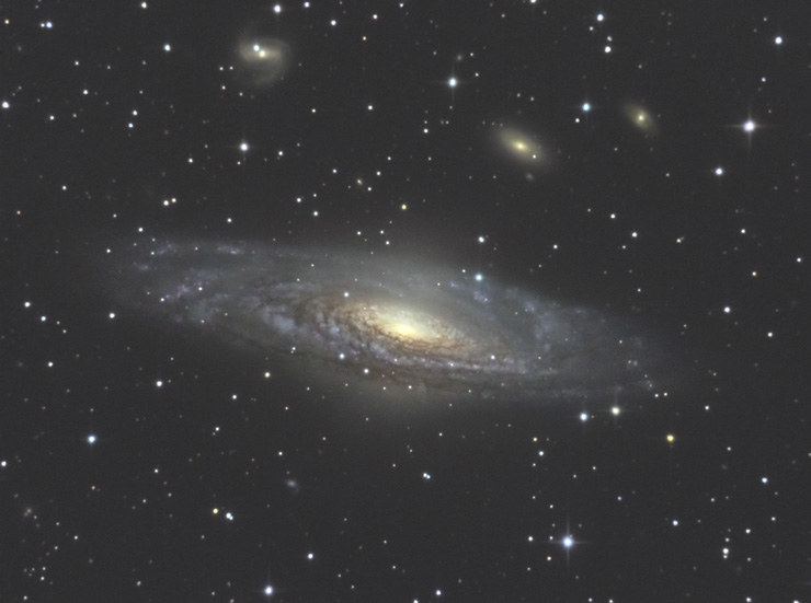 NGC7331