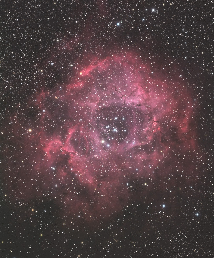 Rosetta Nebula