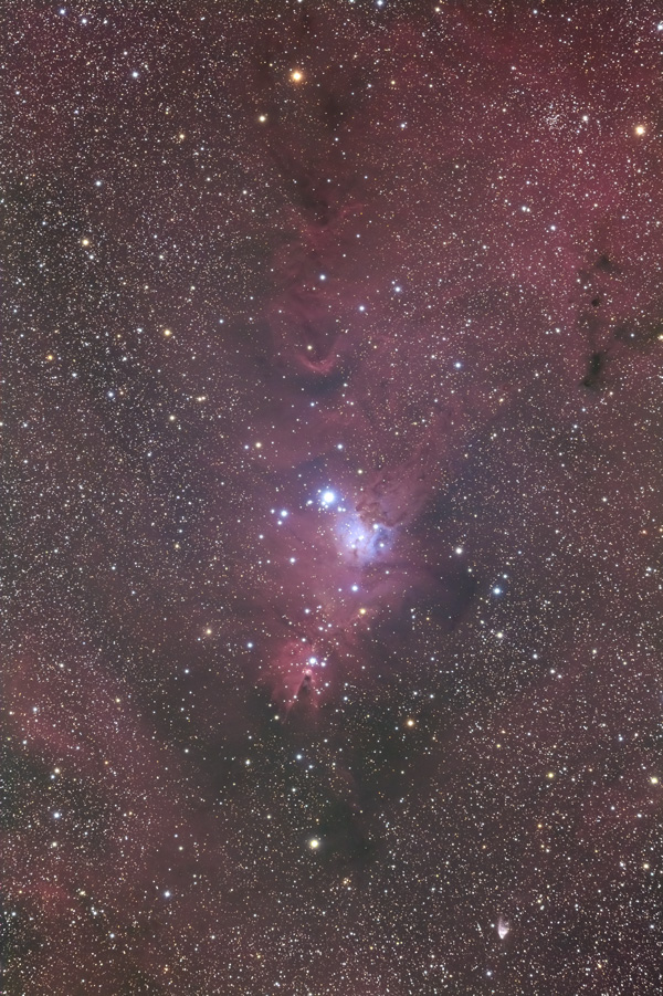 Cone Nebula