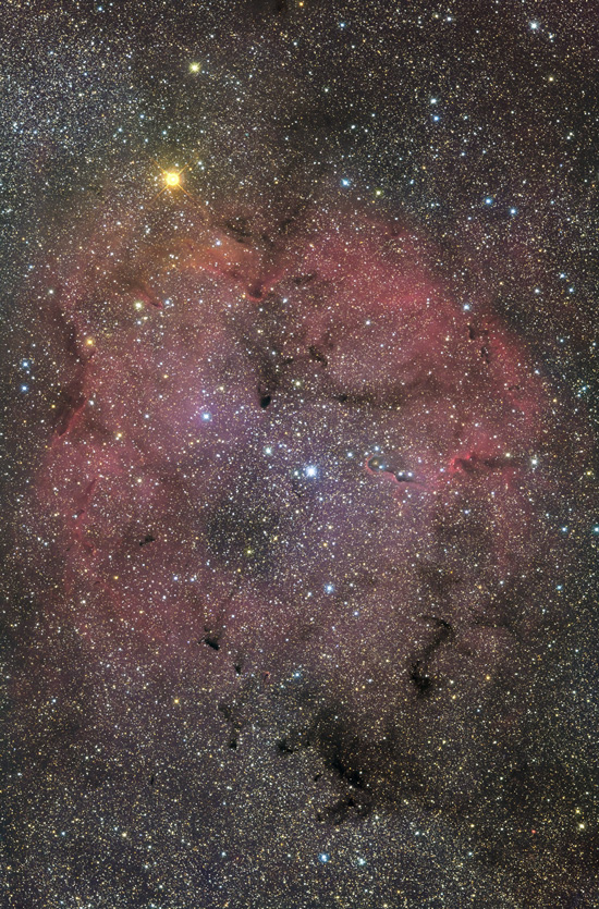 IC1396 in Cepheus