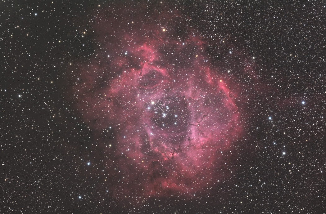 Rosette Nebula