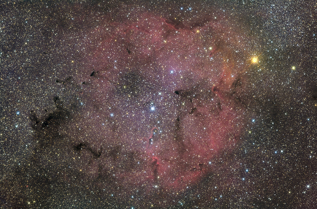 IC1396