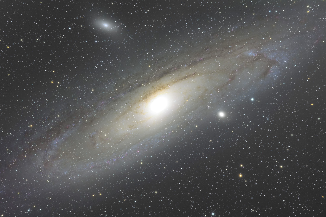 M31