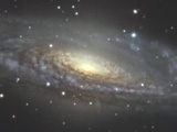 NGC7331